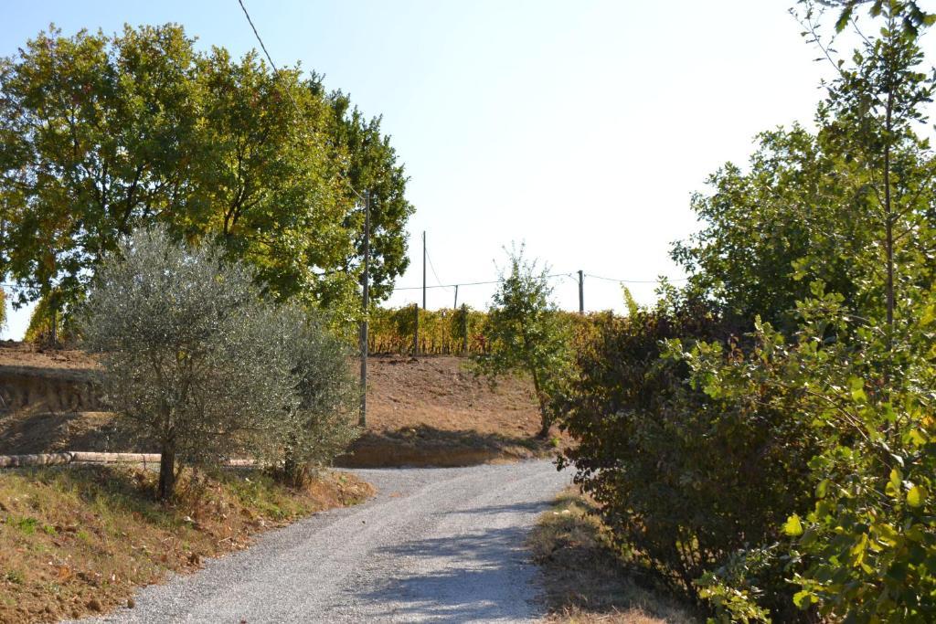 Agriturismo Costa Dei Platani 아키테르메 외부 사진