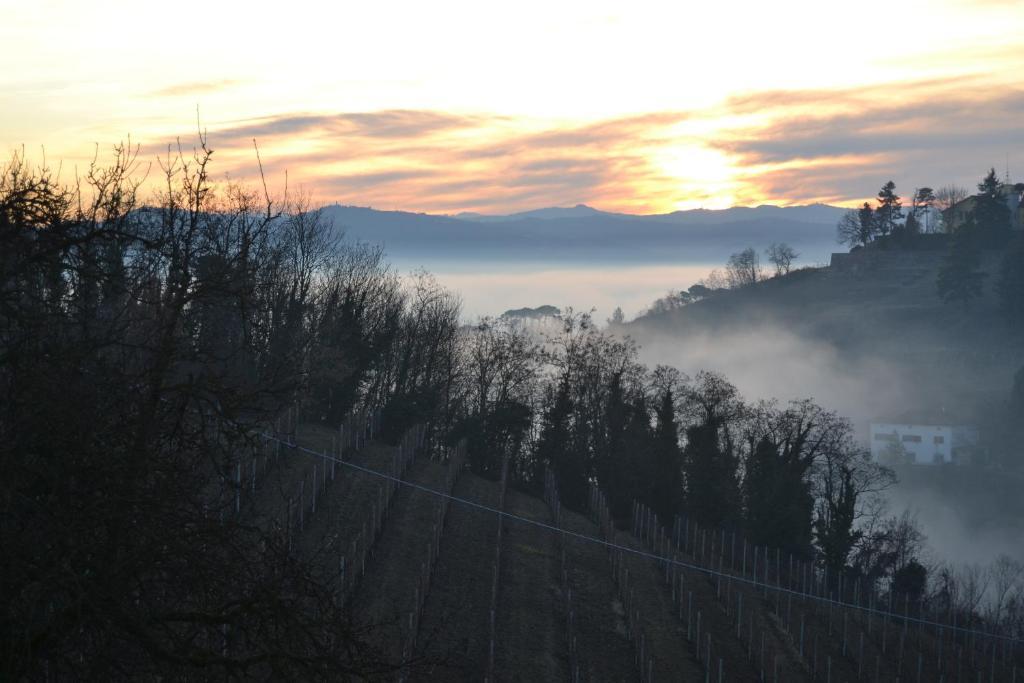 Agriturismo Costa Dei Platani 아키테르메 외부 사진