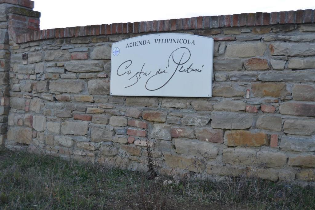 Agriturismo Costa Dei Platani 아키테르메 외부 사진