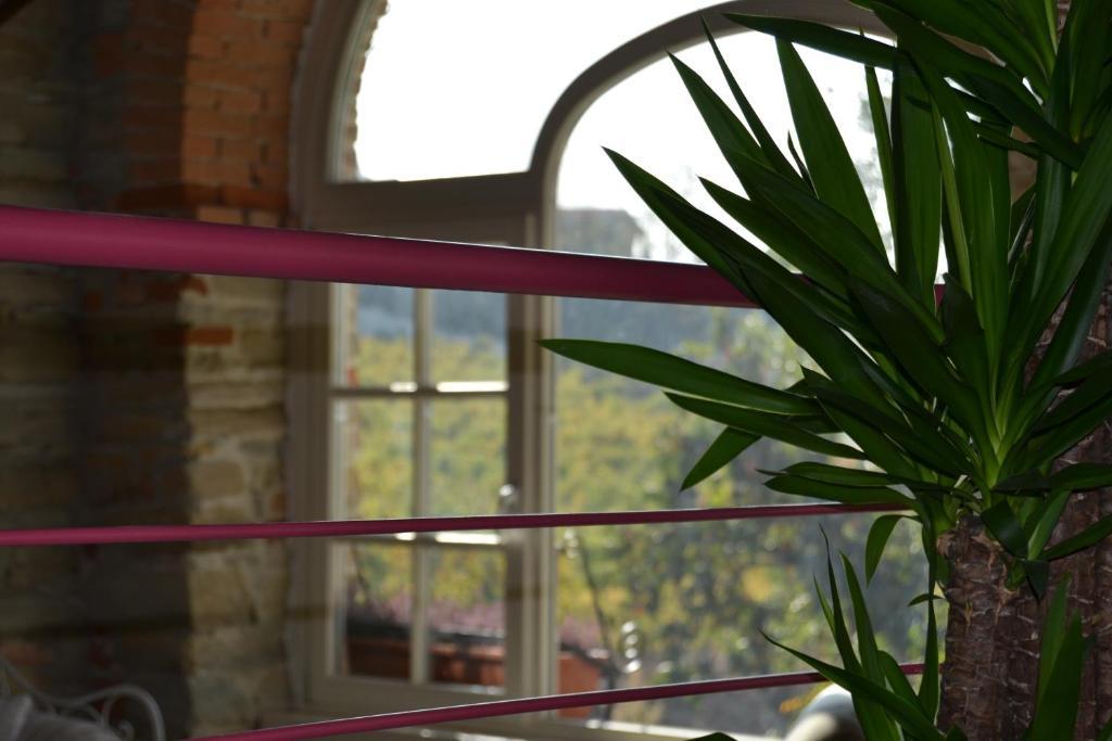 Agriturismo Costa Dei Platani 아키테르메 외부 사진