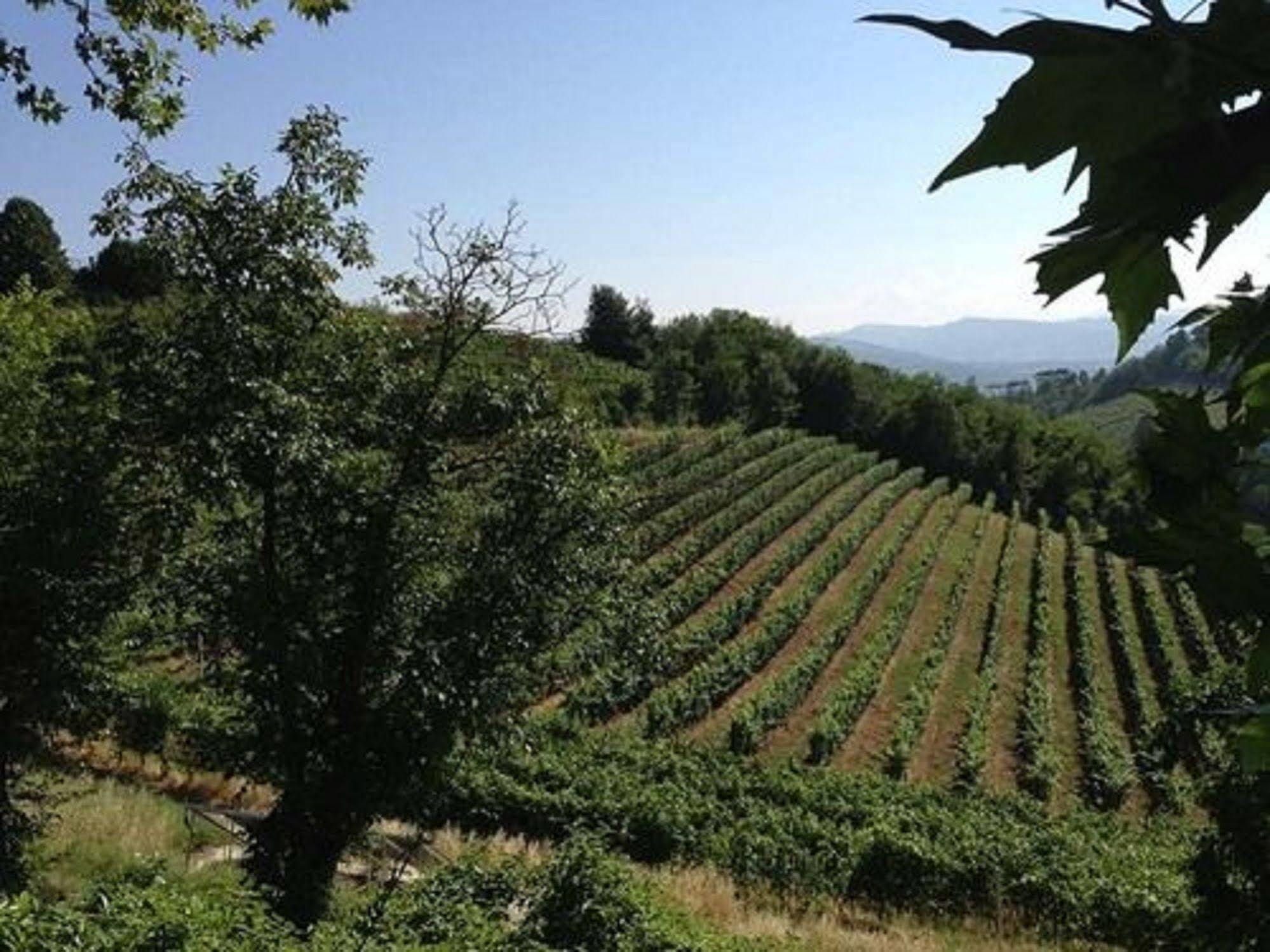 Agriturismo Costa Dei Platani 아키테르메 외부 사진