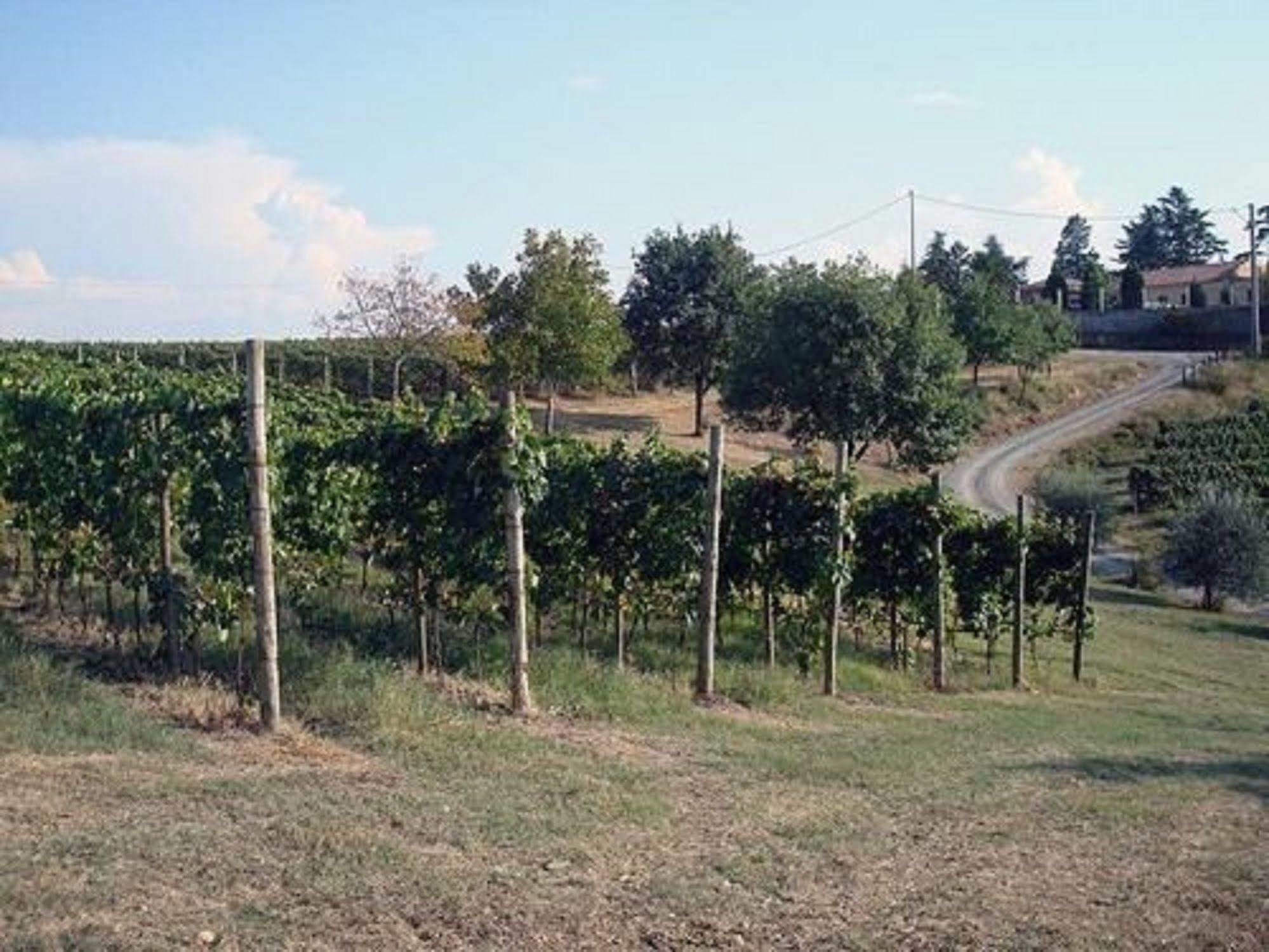 Agriturismo Costa Dei Platani 아키테르메 외부 사진