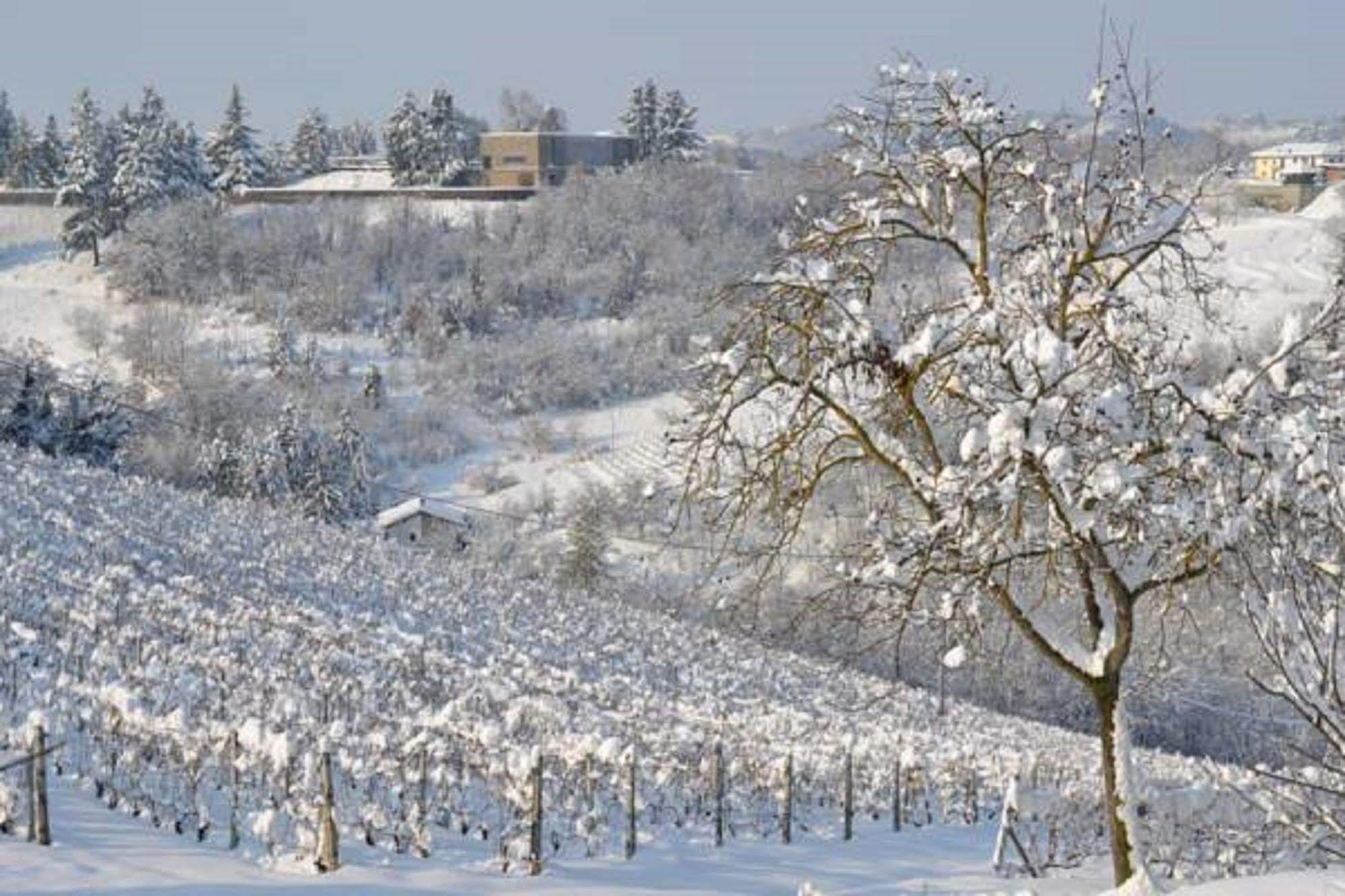 Agriturismo Costa Dei Platani 아키테르메 외부 사진