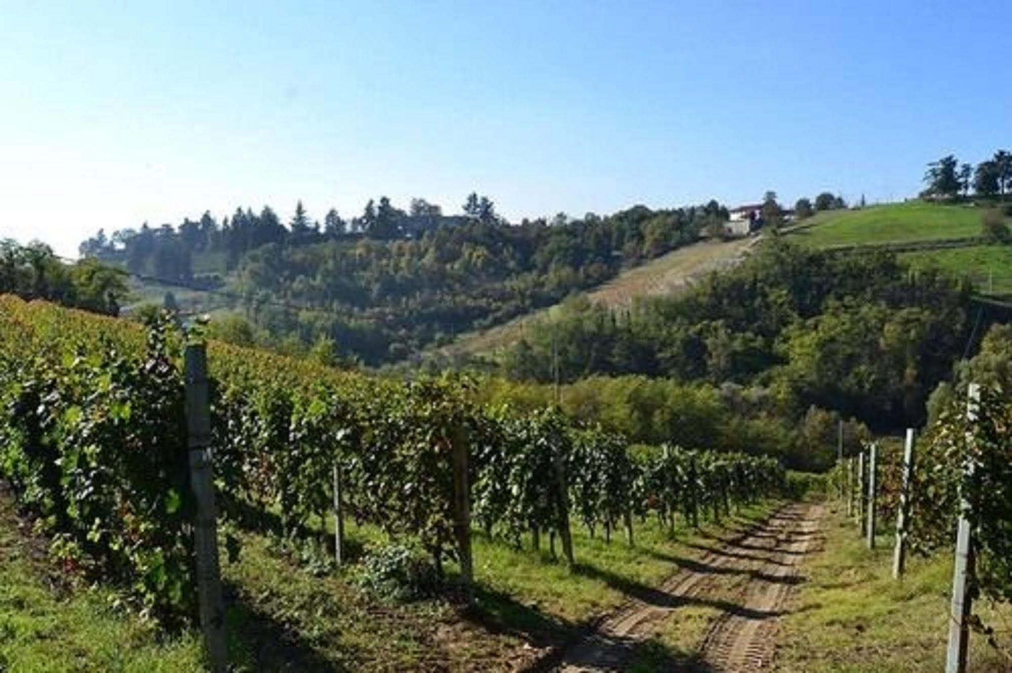 Agriturismo Costa Dei Platani 아키테르메 외부 사진