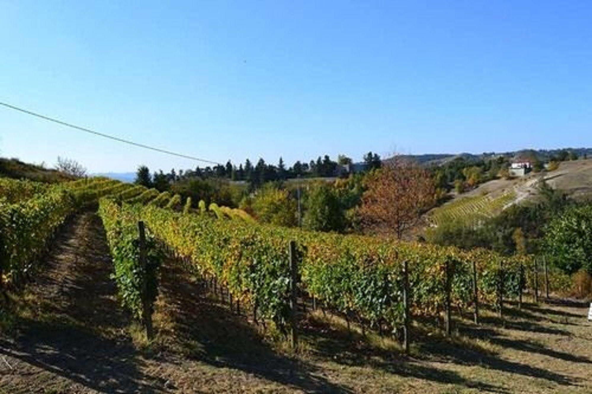 Agriturismo Costa Dei Platani 아키테르메 외부 사진