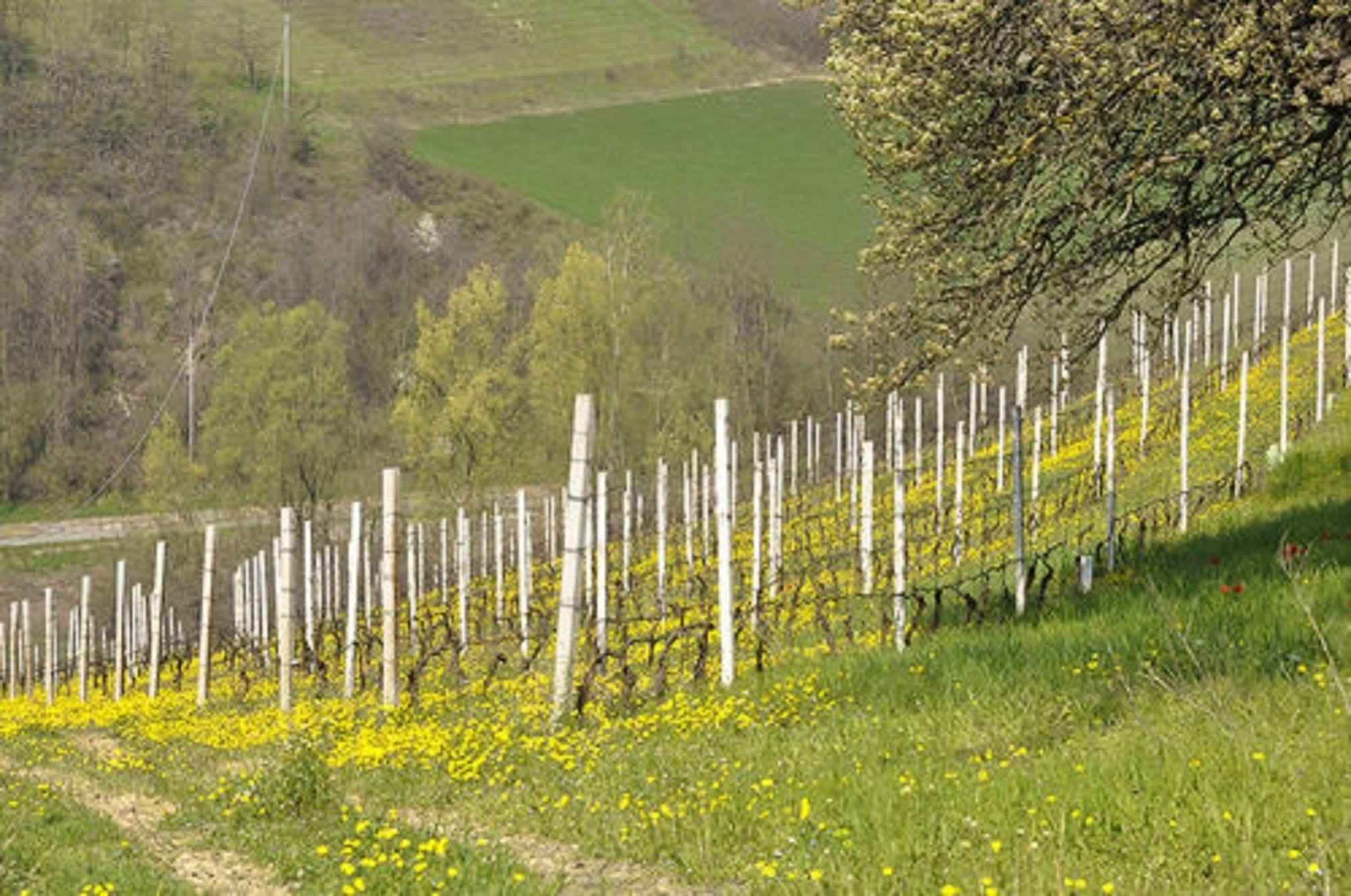 Agriturismo Costa Dei Platani 아키테르메 외부 사진