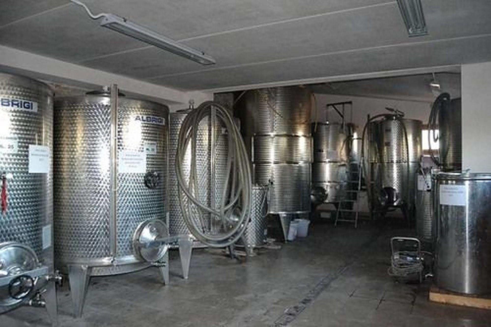 Agriturismo Costa Dei Platani 아키테르메 외부 사진