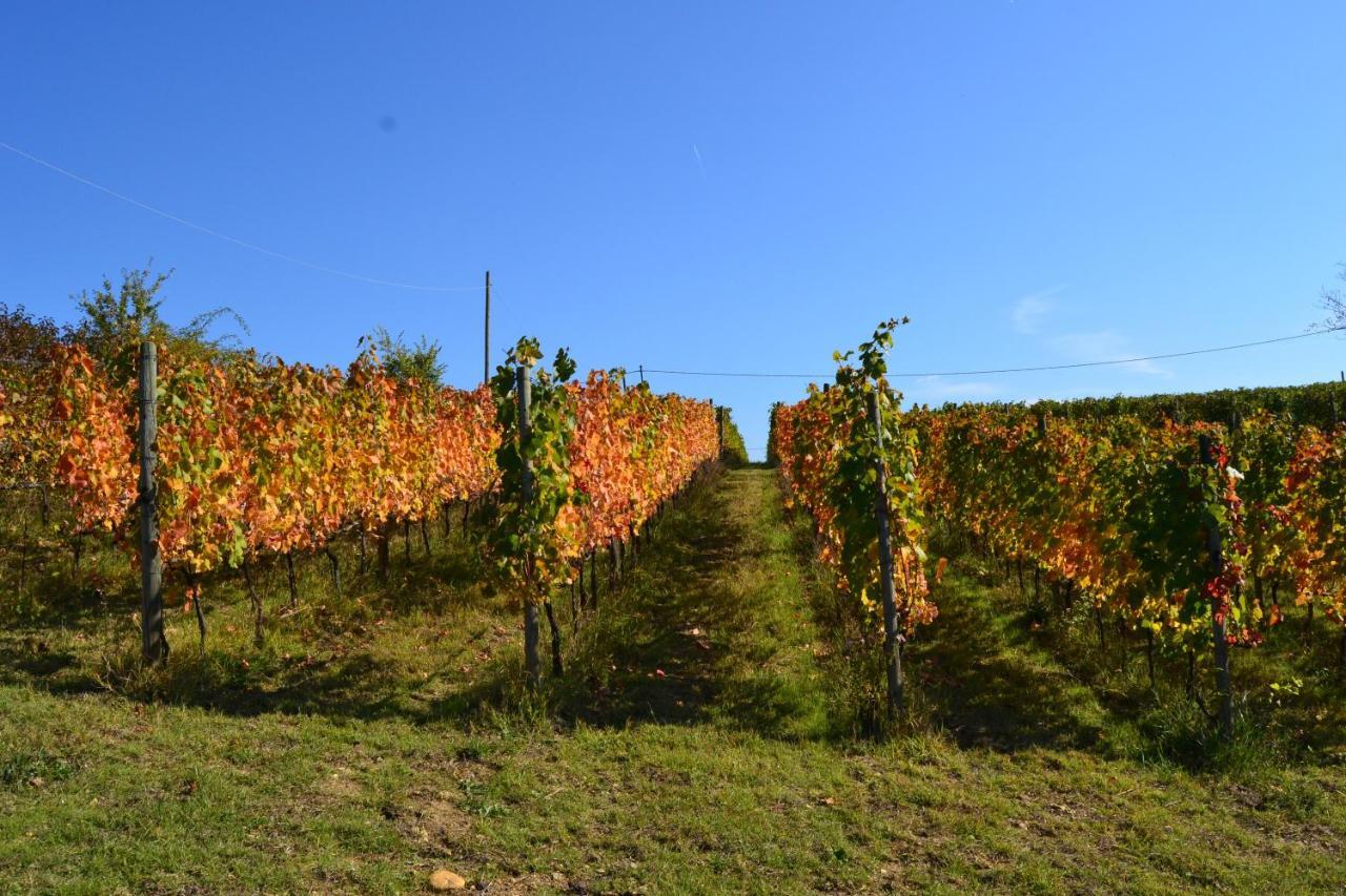 Agriturismo Costa Dei Platani 아키테르메 외부 사진